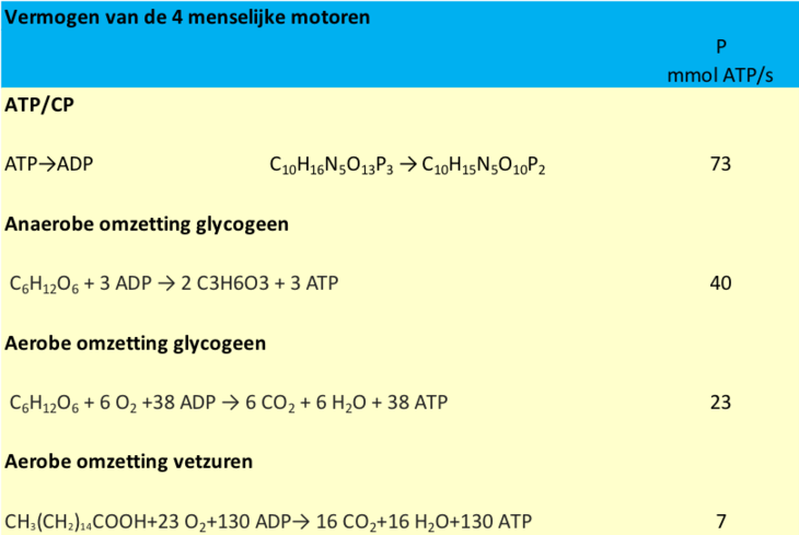 vermogen menselijke motoren 111848096786